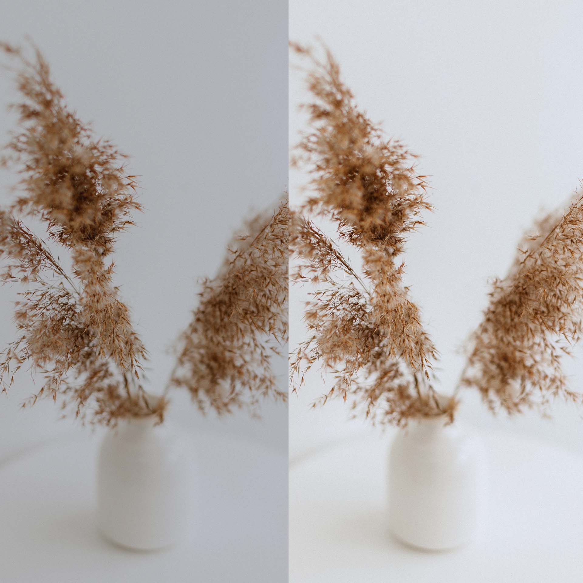 Lightroom Presets_Classic Clean-4