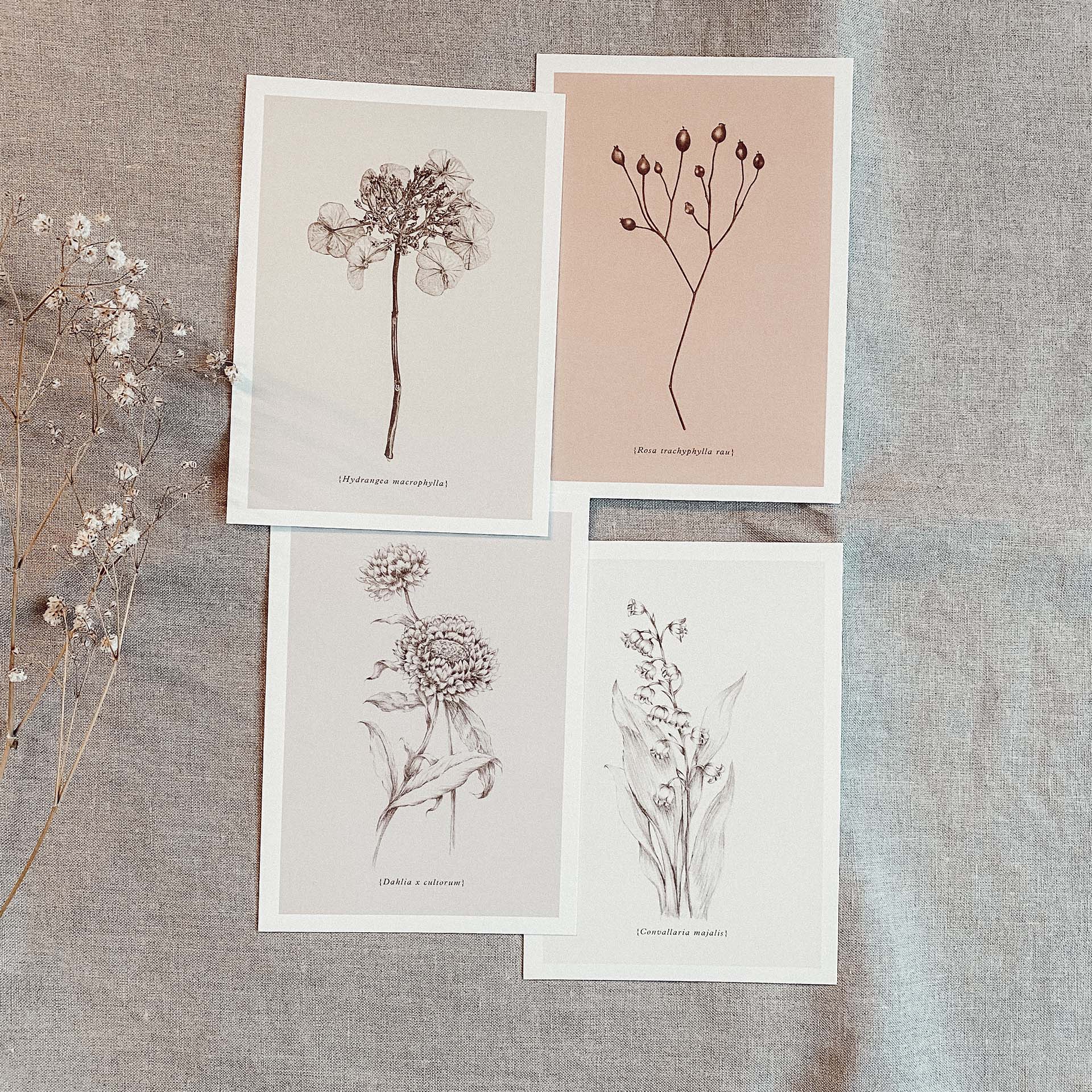 Postkarten Set Botanicals-1