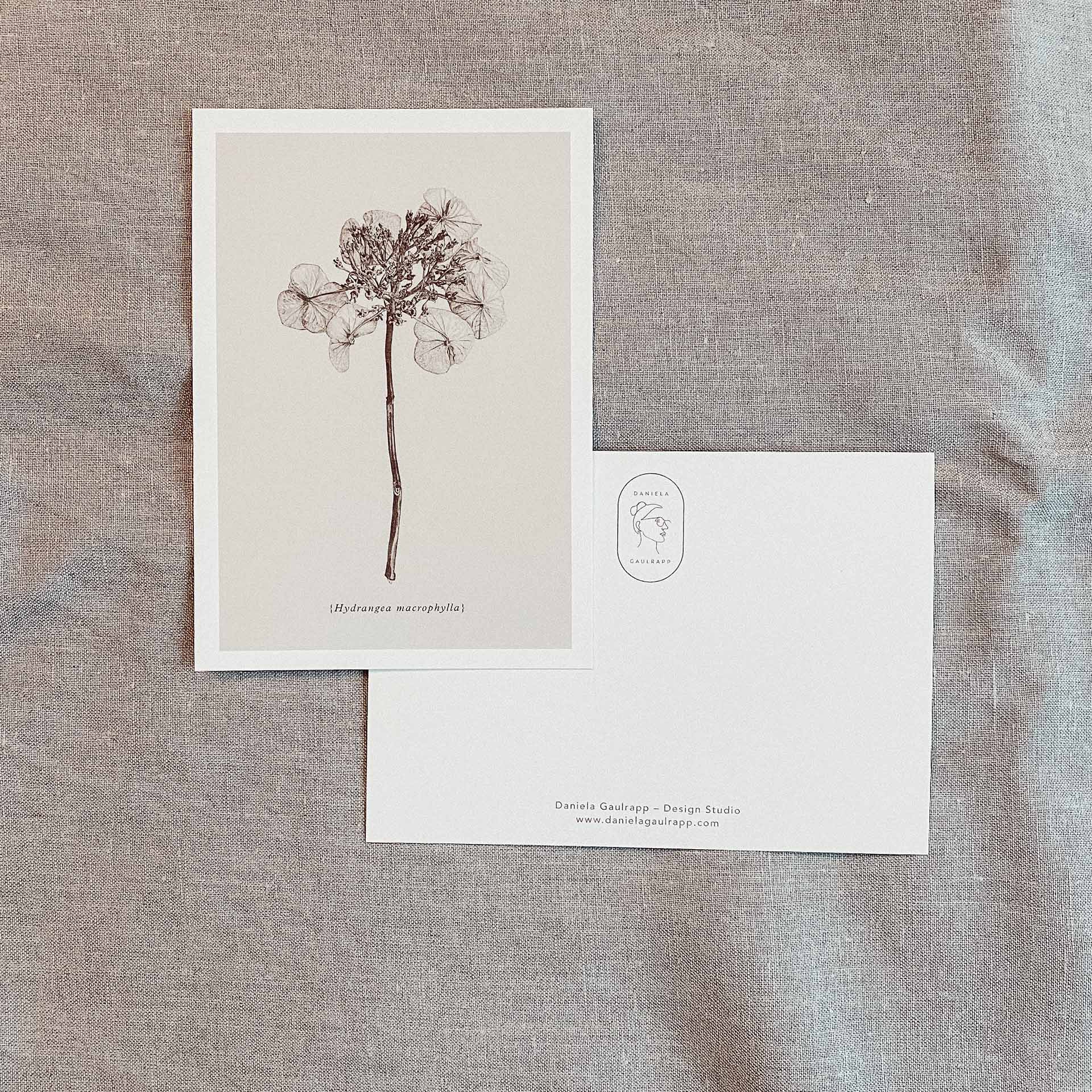 Postkarten Set Botanicals-2