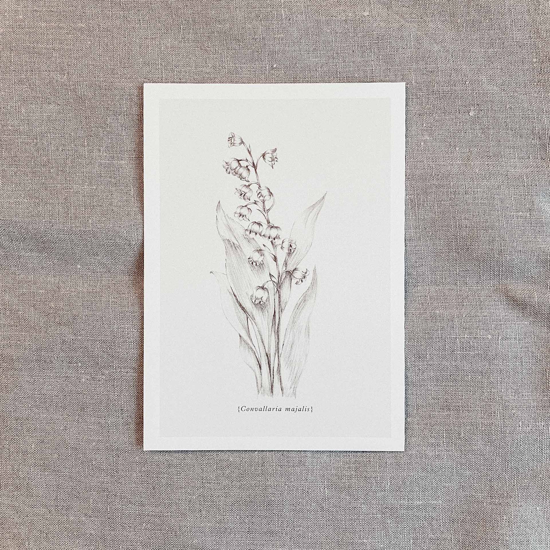 Postkarten Set Botanicals-3