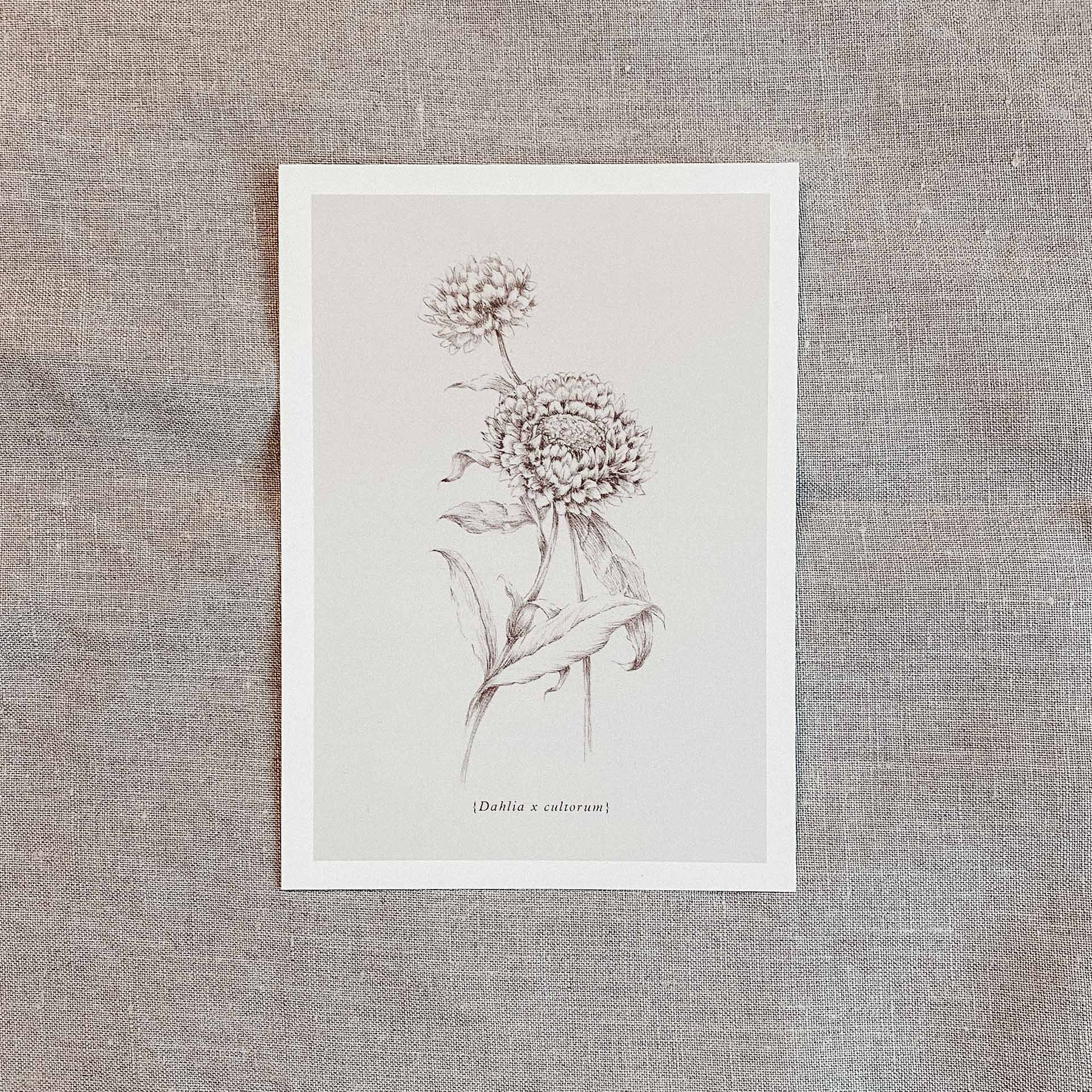 Postkarten Set Botanicals-4