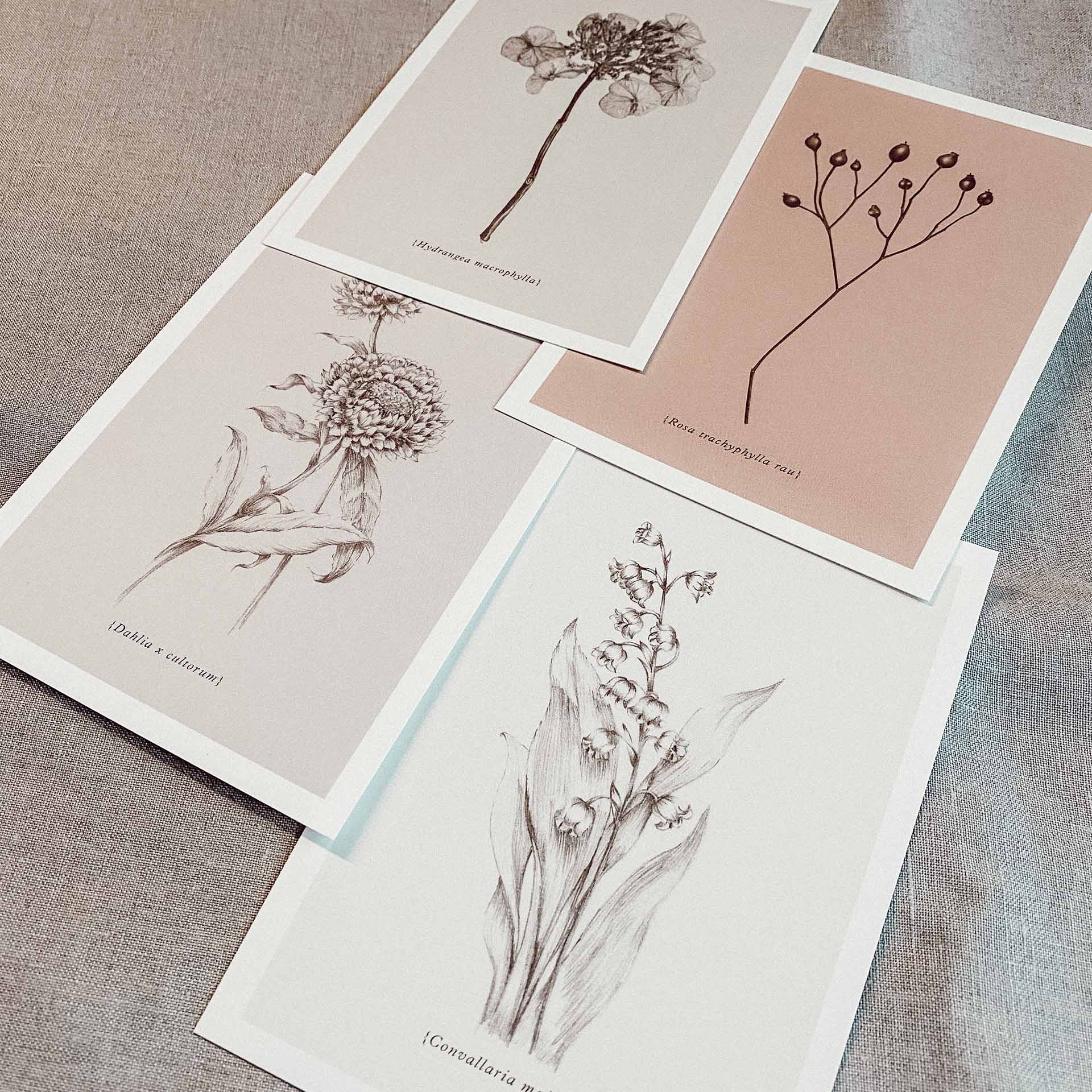 Postkarten Set Botanicals-6