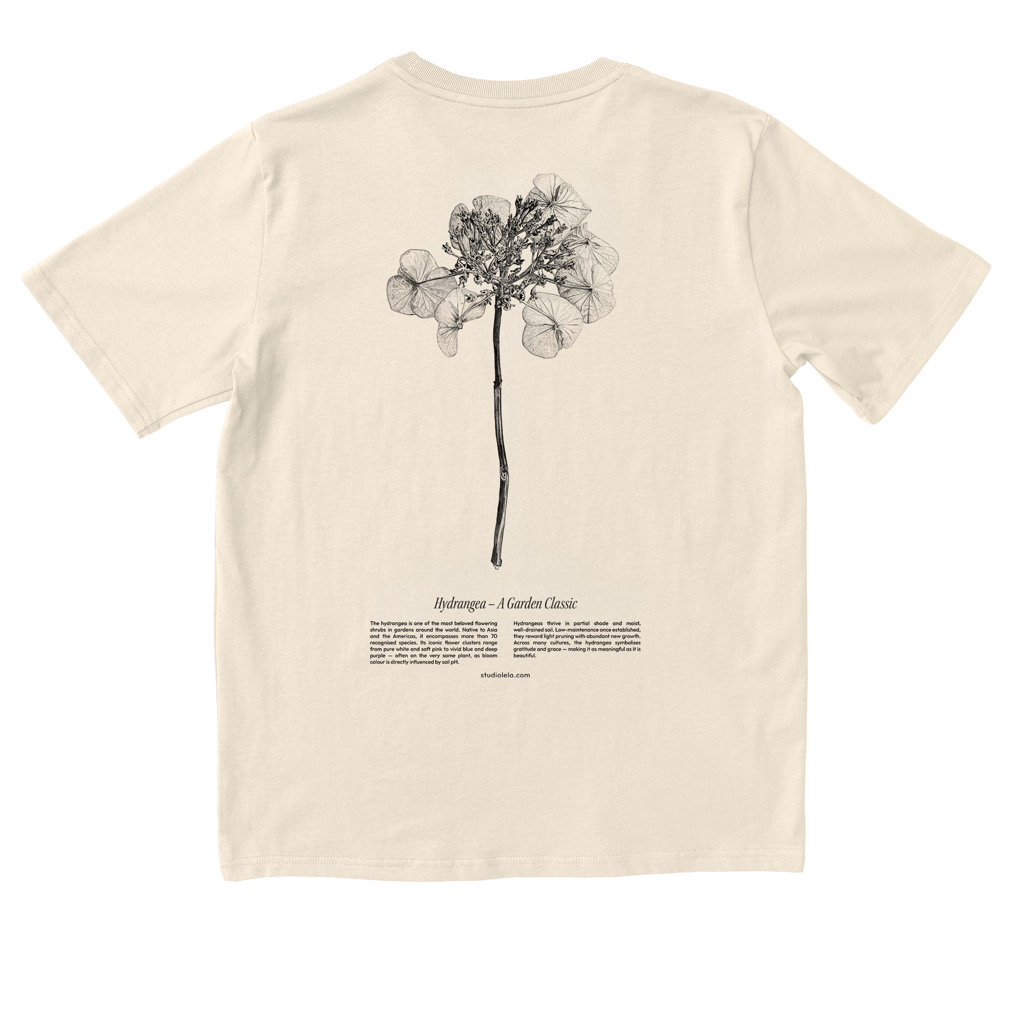 Shirt-Natural-Mockup-Back-Hydrangea